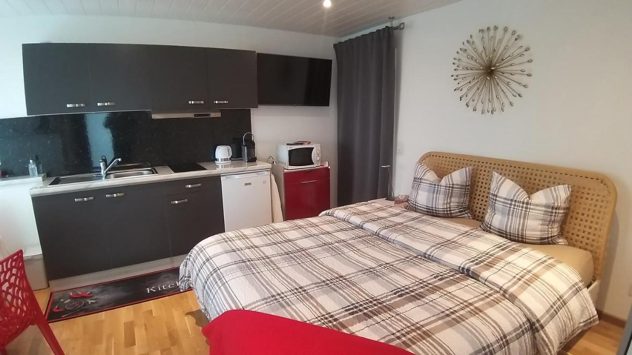Beau Studio Avec Terrasse Et Vue Exclusivement Pour Non Fumeurs Belmont-sur-Lausanne Dış mekan fotoğraf