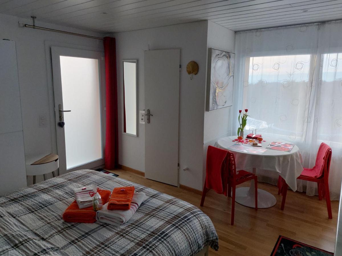 Beau Studio Avec Terrasse Et Vue Exclusivement Pour Non Fumeurs Belmont-sur-Lausanne Dış mekan fotoğraf