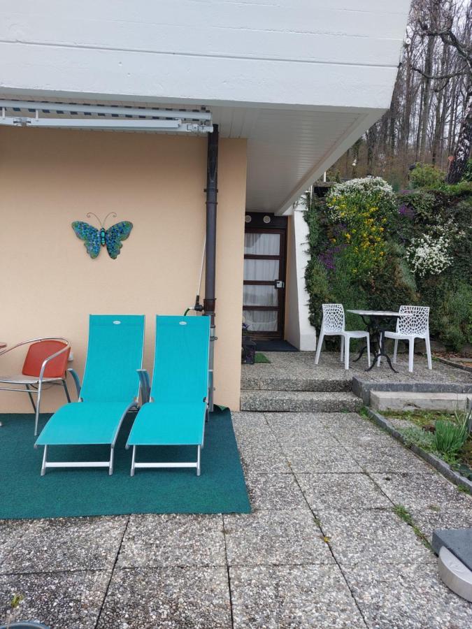 Beau Studio Avec Terrasse Et Vue Exclusivement Pour Non Fumeurs Belmont-sur-Lausanne Dış mekan fotoğraf